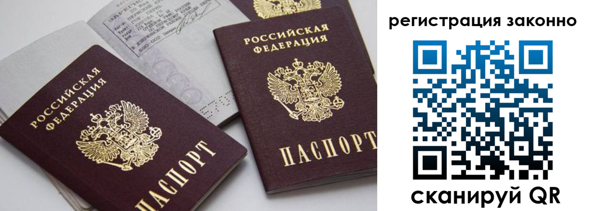 прописка штамп в Судогде